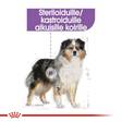 Sterilised Adult MEDIUM 12kg Royal Canin - Koiran kuivaruoat aikuisille koirille - 033002 - 6