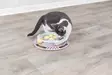 Pallotorni Junior Cat Kitten Circle 24cm Trixie - Kissan aktivointilelut - 045292 - 7