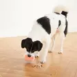 Aktivointipallo Dog Rumble Puzzle Topsy Treat Ball 12cm oranssi Nina Ottosson - Koiran aktivointilelut - 055692 - 7