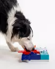 Aktivointipeli Genius Set 8 osaa Pawzler - Koiran aktivointilelut - 059882 - 2