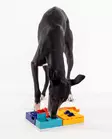 Aktivointipeli Genius Set 8 osaa Pawzler - Koiran aktivointilelut - 059882 - 6