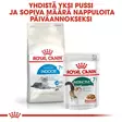 Indoor 7+ 1,5kg Royal Canin - Kissan kuivaruoat ikääntyville kissoille - 000782 - 6
