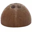 Kookosluola 1/2 11x8x11cm Hobby - Akvaarion tarvikkeet ja hiekat - 057862 - 3