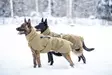 Lämpötakki Glacier Working Dog oliivi Non-stop dogwear - Koiran manttelit - 038122 - 4