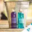 Lavender laventelilinimentti 500ml Carr & Day & Martin BB06/26 - Linimentit ja pliisterit hevoselle - 032392 - 4