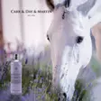 Lavender laventelilinimentti 500ml Carr & Day & Martin BB06/26 - Linimentit ja pliisterit hevoselle - 032392 - 3