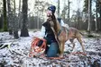 Liina Friction Long Line oranssi Non-stop dogwear - Jälki-, koulutusliinat, kapulat - 042202 - 7