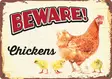 Metallikyltti "Beware! Chickens" 21x14,8cm Flamingo - Varoitus- ja huomiokyltit - 059332 - 1