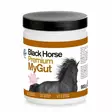MyGut 900g jauhe Premium BH - Lisäravinteet hevosen ruoansulatukselle - 052192 - 1