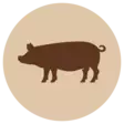 Possun kielipala 600g pakaste Fanimal - Koiralle pakastelihat ja -elimet - 059612 - 2