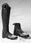 Saappaat Veganza Winter Regular/Regular musta Mountain Horse - Ratsastuskengät ja -saappaat - 054972 - 5
