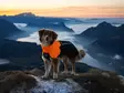 Sademantteli Fjord 2.0 oranssi-musta Non-stop dogwear - Koiran manttelit - 059632 - 2