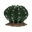 Tekokaktus Echinocactus 2 Green Terra Della - Terraarion tarvikkeet ja kuivikkeet - 059432 - 1