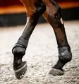 Vuohissuojat Pro Bamboo L musta Horseware - Hevosen vuohis- ja hivutussuojat - 055432 - 4