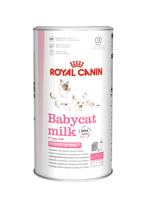 Babycat Milk Starter Royal Canin - Kissan juomat - 000762 - 1