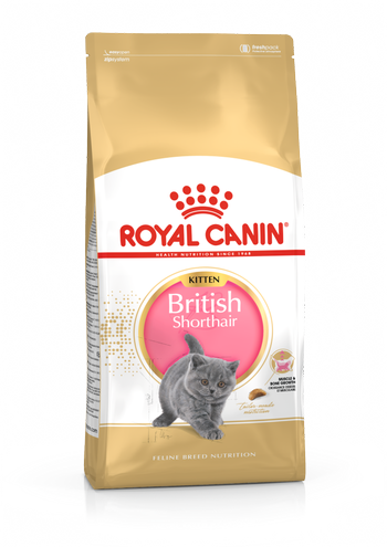 British Shorthair Kitten 2kg Royal Canin - Kissan kuivaruoat pennut ja kasvatus - 000482 - 1