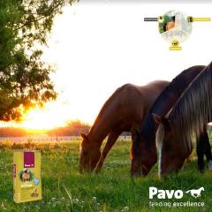 InShape mysli 15kg Pavo - Täydennysrehut - 020432 - 1