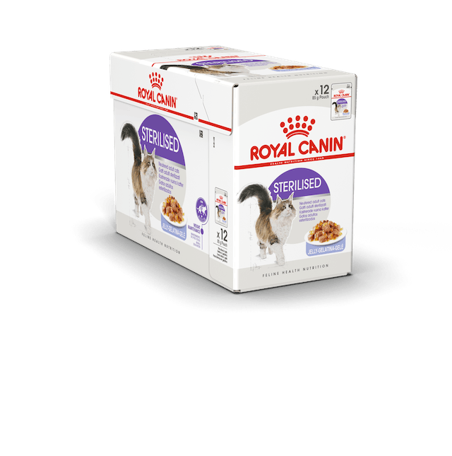 Indoor Sterilised Jelly 12x85g hyytelö Royal Canin - Aikuisten kissojen säilykkeet - 018532 - 4