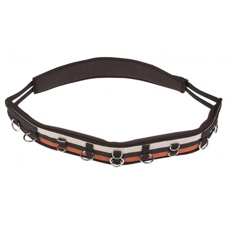 Juoksutusvyö neopren FULL 220cm ruskea-beige Norton - Hevosen juoksutus ja maastakoulutus - 032662 - 1