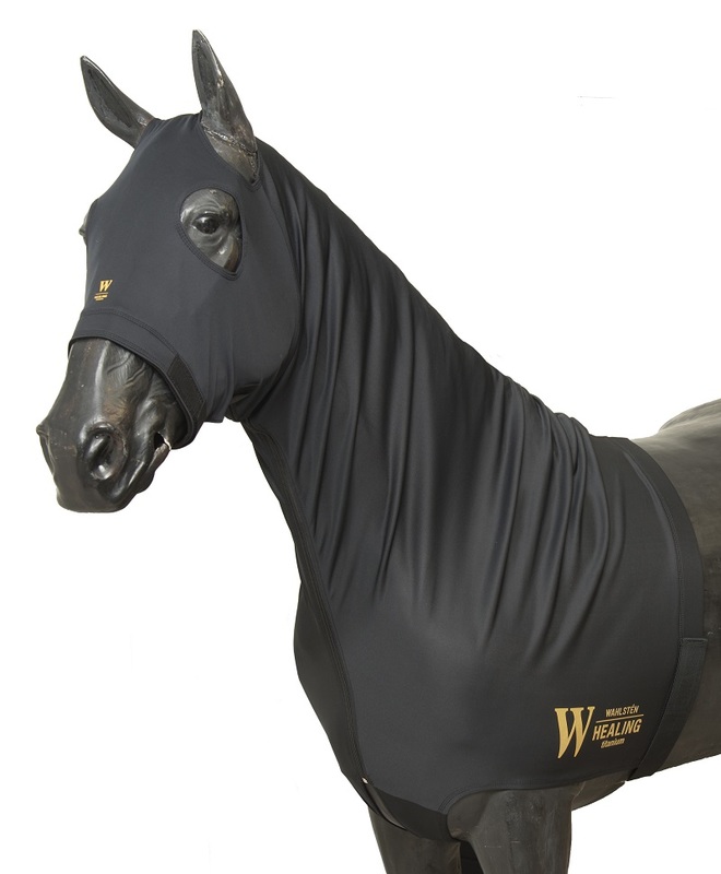 Pää- ja kaulahuppu Healing Titanium musta W-Healing - Hevosen loimitarvikkeet ja varaosat - 031622 - 1