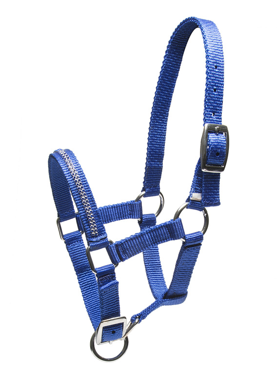 Riimu Crystal varsa sininen HorseComfort - Hevosen nylonriimut - 009492 - 1