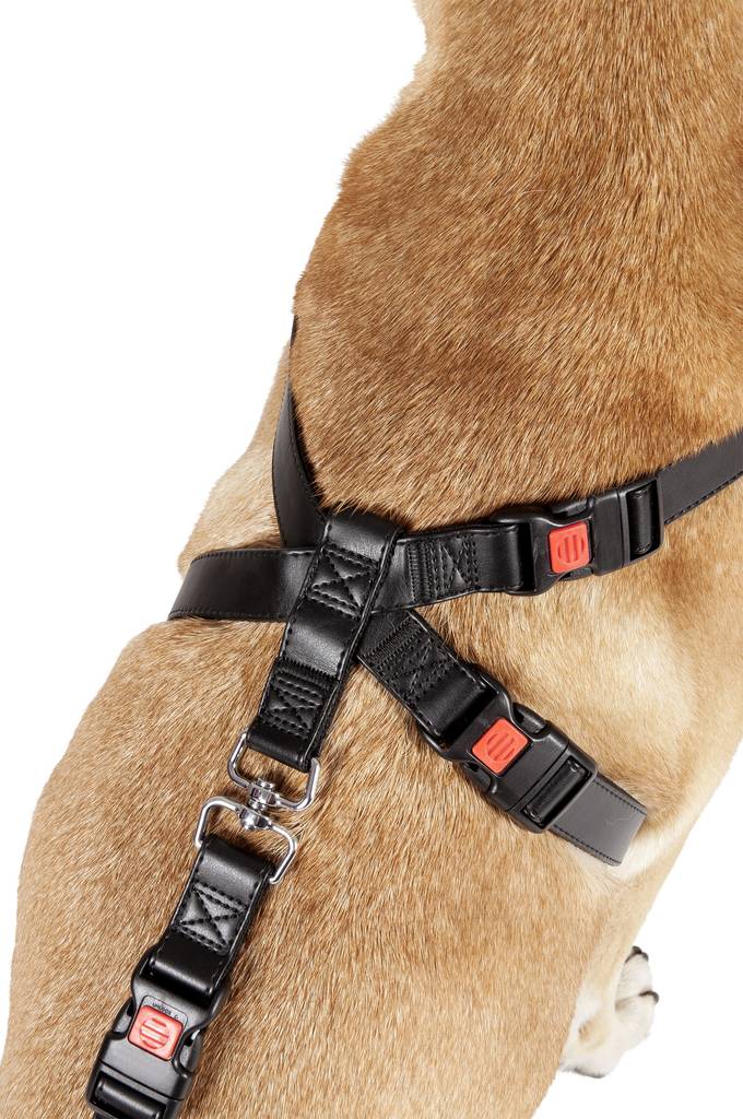 Turvavyövaljas musta Flamingo - Koiran turvavaljaat ja liittimet - 035662 - 1