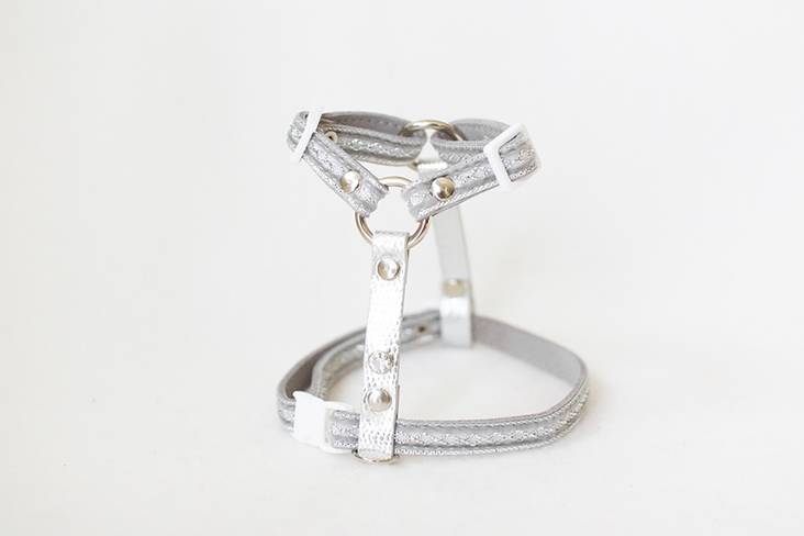 Y-valjas Mini harmaa-hopea Lavellas - Pieneläinten ulkoilu ja kuljetus - 029532 - 1