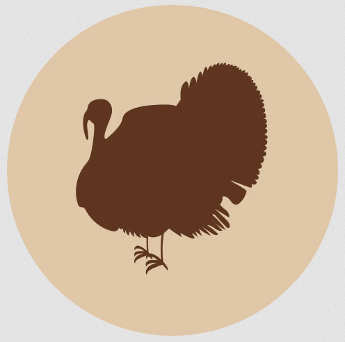 Kalkkunan kaula jauhettu 200g Fanimal - Koiralle pakastelihat ja -elimet - 040872 - 1