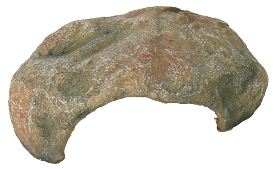 Reptiland Reptile Cave XL 30x10x25cm Trixie - Terraarion tarvikkeet ja kuivikkeet - 041512 - 1