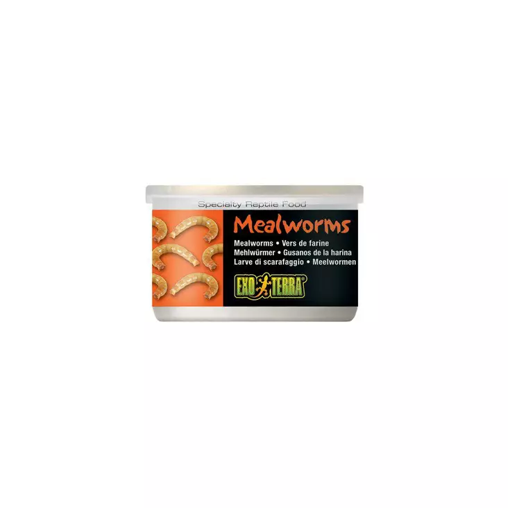 Jauhomadot Mealworms 34g prk EXT - Matelijoiden ruokinta ja lisäravinteet - 045542 - 1