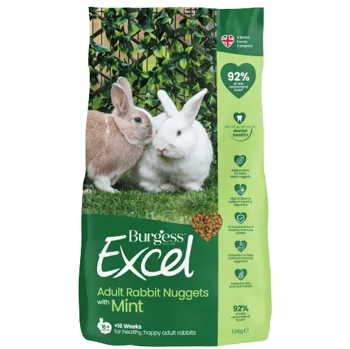 Adult Rabbit Mint Excel Burgess - Kanin ruoka - 040972 - 1