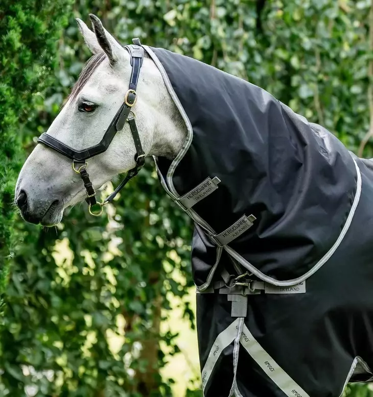 Amigo Bravo 12 XL kaulakappale 0g XL Black/Titanium Grey & Silver Horseware - Ulkoloimien kaulakappaleet ja lisäosat - 059922 - 1