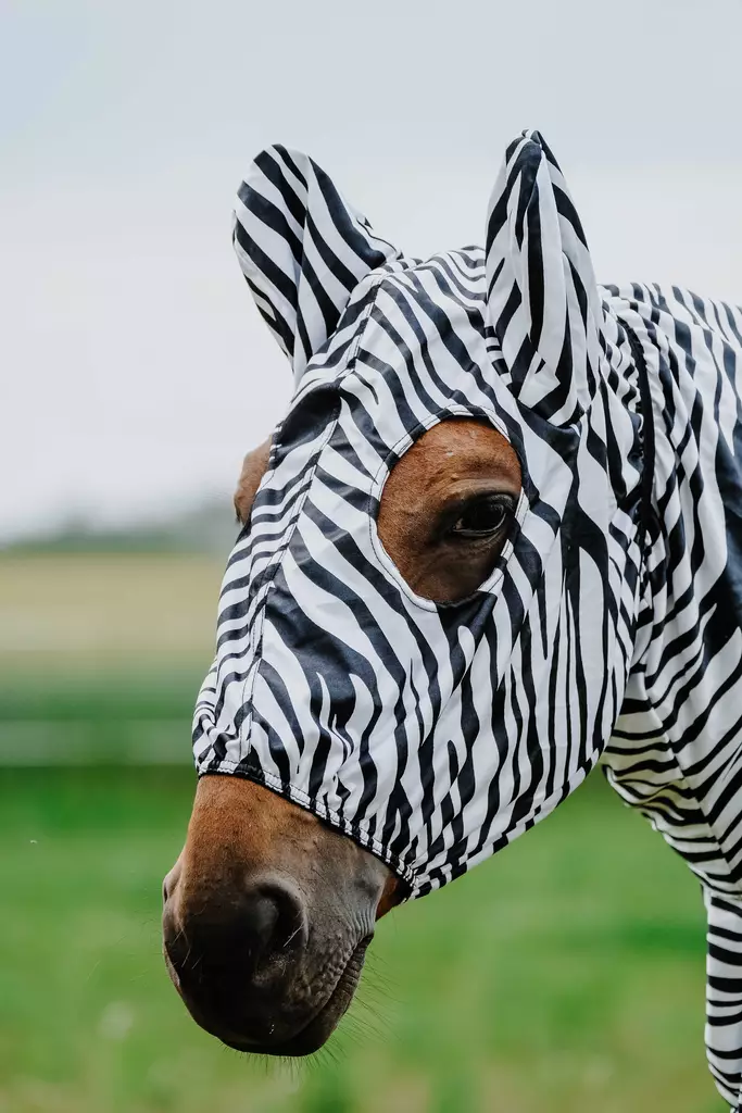 Ihottumahuppu Zebra Riding World - Ihottuma ja hyönteisloimien huput - 052632 - 1