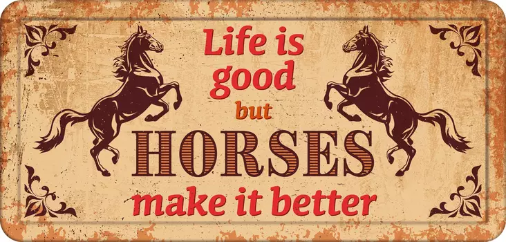 Metallikyltti *Life is good but horses make it better" 32x15cm Flamingo - Varoitus- ja huomiokyltit - 059312 - 1