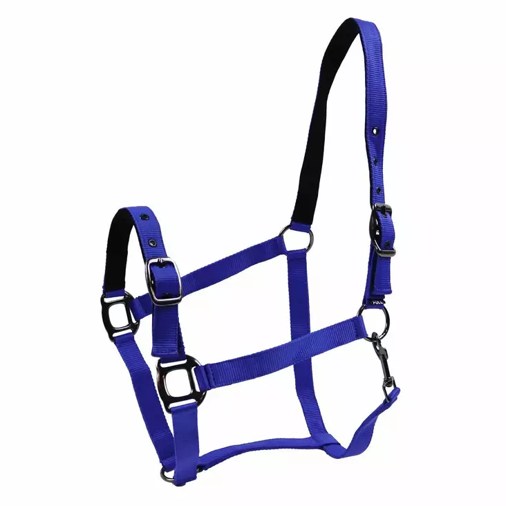 Nylonriimu Black Edition Classic sininen Equitare - Hevosen nylonriimut - 047982 - 1