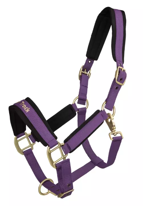 Nylonriimu Werano lila Welltex Back On Track - Hevosen nylonriimut - 051272 - 1