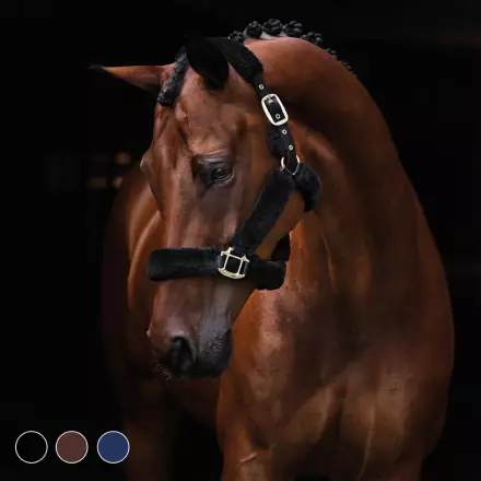 Pehmoriimu Secure musta Hansbo Sport - Hevosen nylonriimut - 015942 - 1