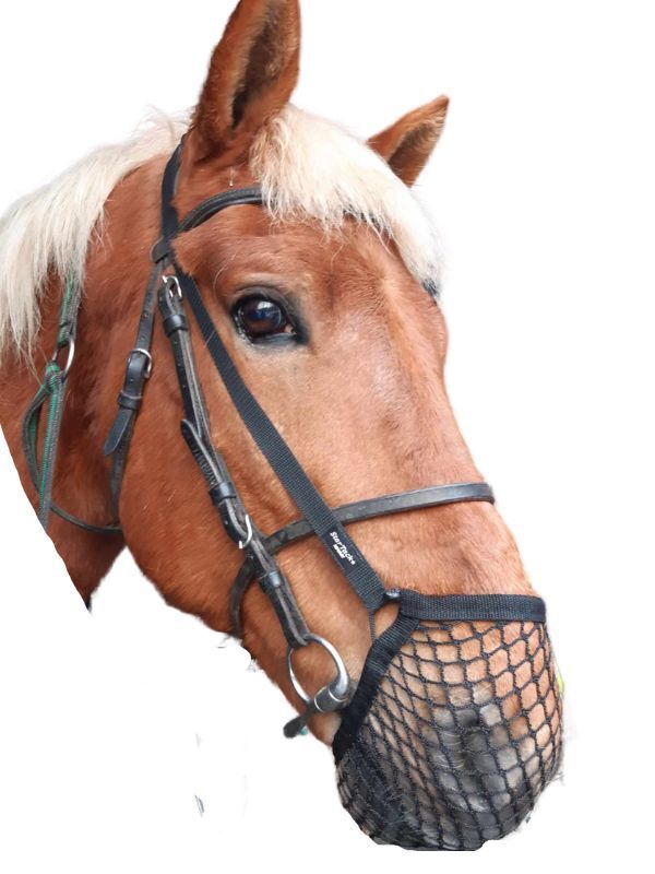 Pullarin verkko FULL musta Star Tack - Ravurin pääaisat ja pullarin apuvälineet - 046772 - 1