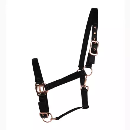 Riimu Satin neopren musta Hansbo Sport - Hevosen nylonriimut - 034712 - 1