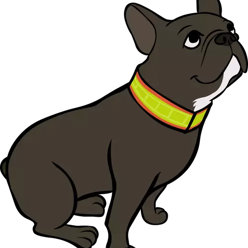 Tarrakaulapanta 3cm leveällä nauhalla Boett - Koiran heijastimet ja turvavalot - 019962 - 1