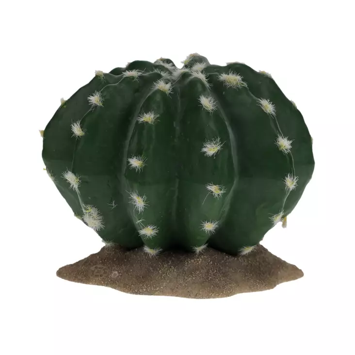 Tekokaktus Echinocactus 2 Green Terra Della - Terraarion tarvikkeet ja kuivikkeet - 059432 - 1