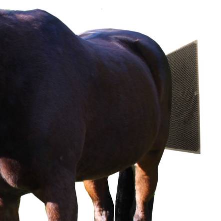 Harjamatto seinään 40x59cm Equitare - Hevosen harjat, suat ja letitys - 031873 - 2