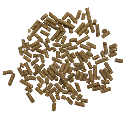 Huf Regulator Marstall - Lisäravinteet kaviot ja karvapeite - 034093 - 2
