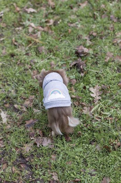 Huppari Rainbow Falls harmaa Trixie - Koiran paidat ja neuleet - 028053 - 2