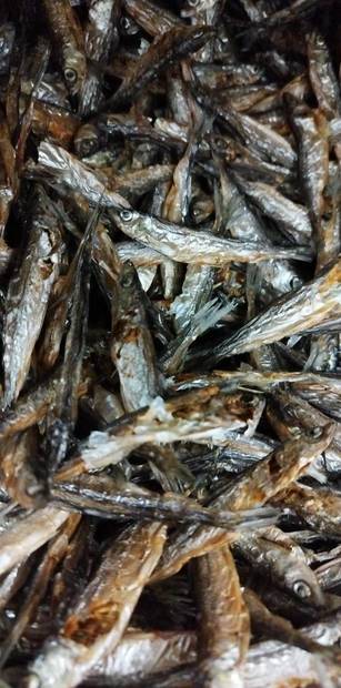 Muikku kuivattu kotimainen KG Eväkäs - Koiran herkut ja makupalat - 035763 - 1