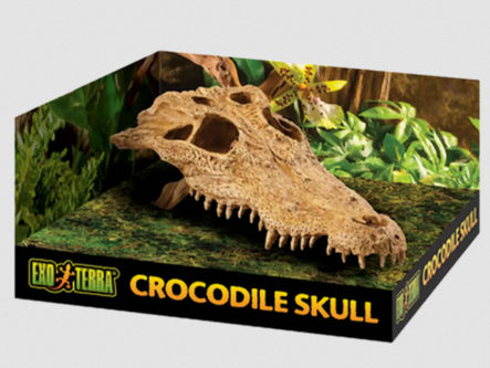 Piilo Crocodile Skull ExoTerra - Terraarion tarvikkeet ja kuivikkeet - 037663 - 1