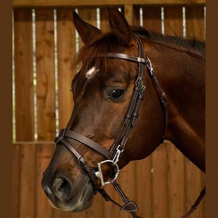 Suitset pikalukoilla mustat nahkaa Working Collection Dyón - Ratsuhevosen suitset ja turpahihnat - 029373 - 2