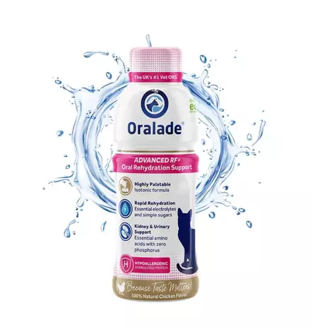 Nesteytysjuoma kissalle 330ml Oralade - Kissan vitamiinit ja lisäravinteet - 056903 - 1