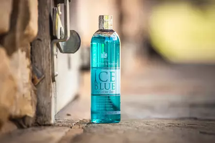 Ice Blue jäähdyttävä geeli 500ml sopii myös viilentävään pesuun Carr & Day & Martin - Linimentit ja pliisterit hevoselle - 032393 - 2