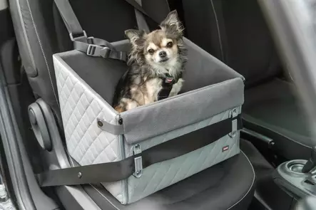 Korotettu autoistuin harmaa Trixie - Koiran autoilutarvikkeet - 057983 - 2